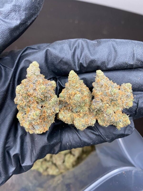 Cannabis - Image 2