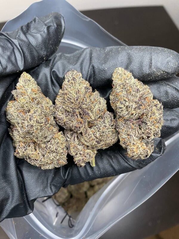 Cannabis - Image 3