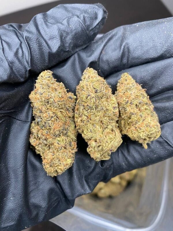 Cannabis - Image 4