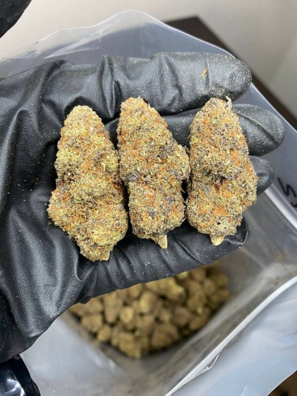 Cannabis - Image 5