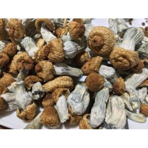 Buy Sostanze Psychedelic online