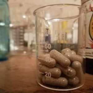 CAPSULE OF FUNGHI GOLDEN TEACHER